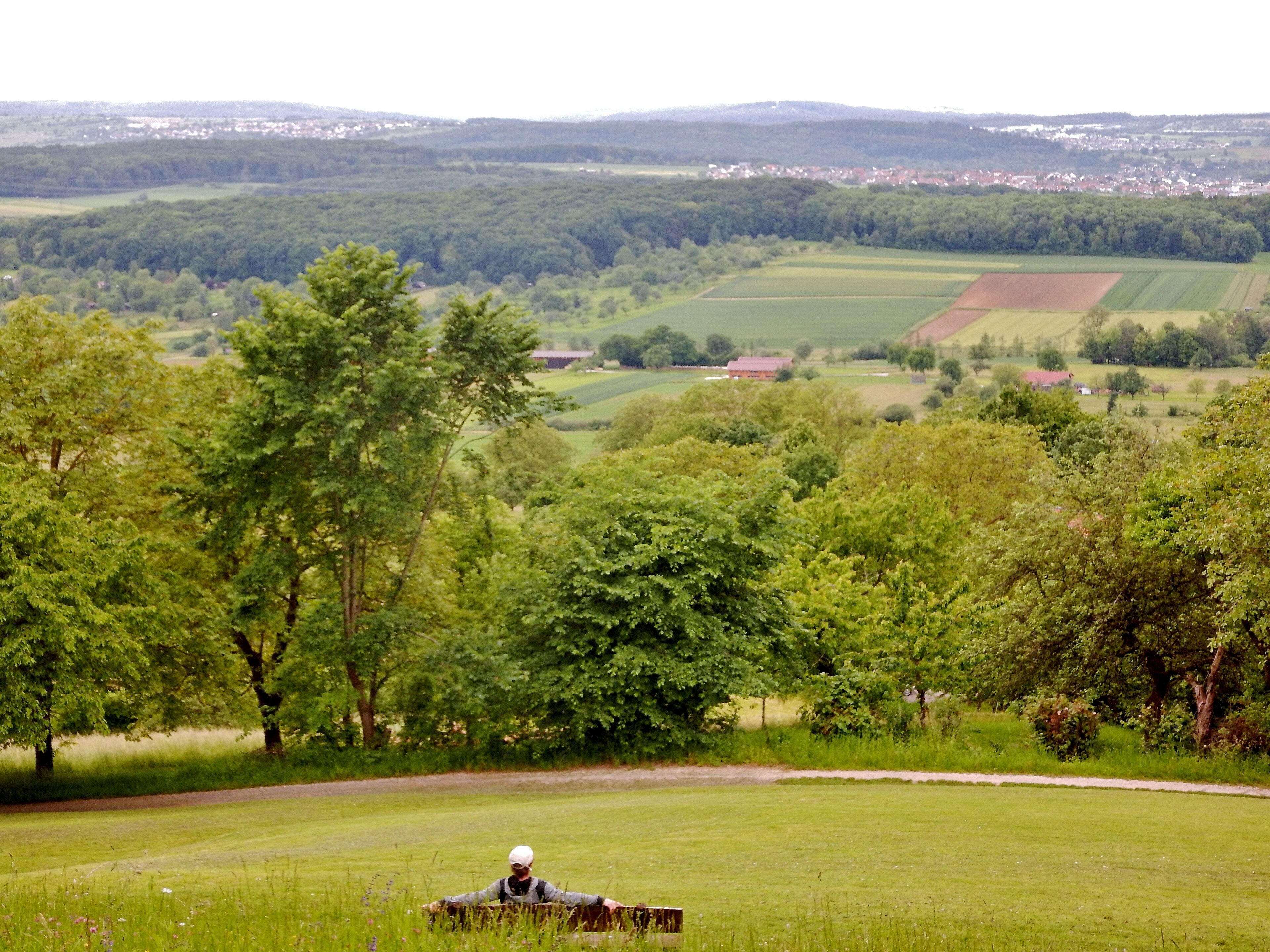 Ausblick vom Grafenberg