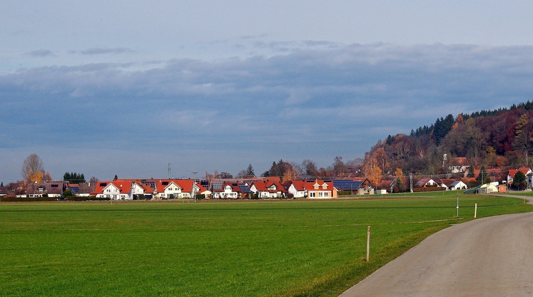 Blick auf den Ort Altensteig