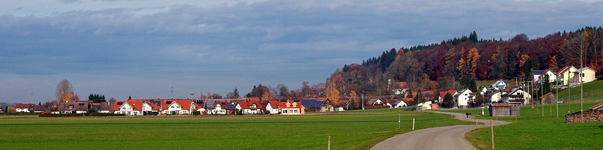 Blick auf den Ort Altensteig