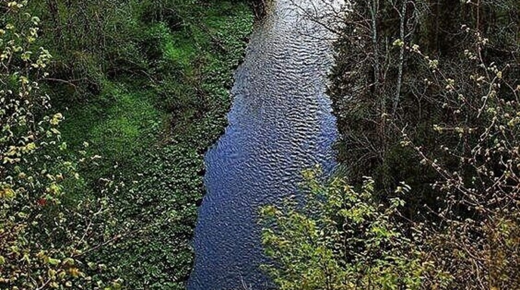 #Adventure A canyon in the Black Forest, just terrific for hiking. An early morning trek through this unspoiled nature park is certainly rejuvenating for a an avid adventure seeker! The southern Black Forest in the Baden-Württemberg state of Germany is a must visit for adventure seekers.