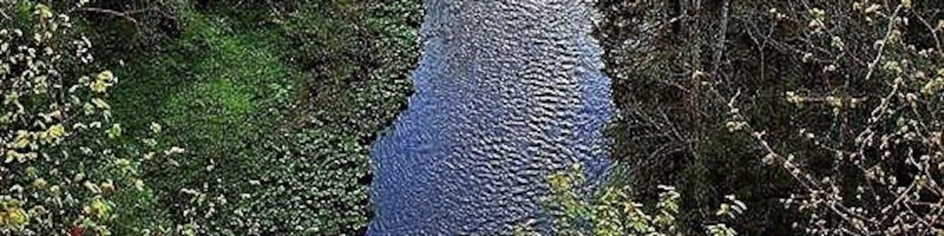 #Adventure A canyon in the Black Forest, just terrific for hiking. An early morning trek through this unspoiled nature park is certainly rejuvenating for a an avid adventure seeker! The southern Black Forest in the Baden-Württemberg state of Germany is a must visit for adventure seekers.