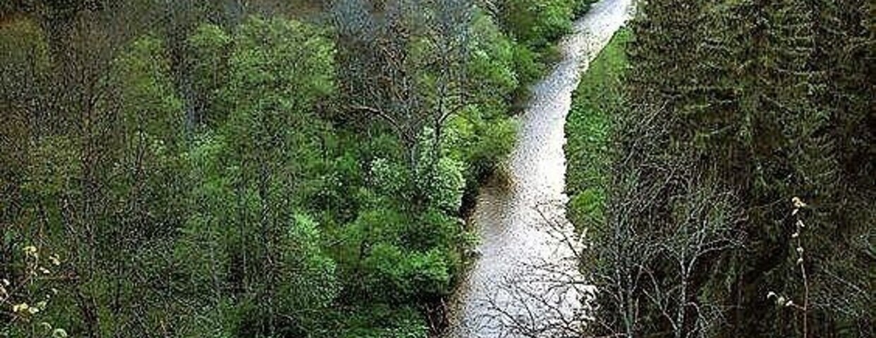 #Adventure A canyon in the Black Forest, just terrific for hiking. An early morning trek through this unspoiled nature park is certainly rejuvenating for a an avid adventure seeker! The southern Black Forest in the Baden-Württemberg state of Germany is a must visit for adventure seekers.