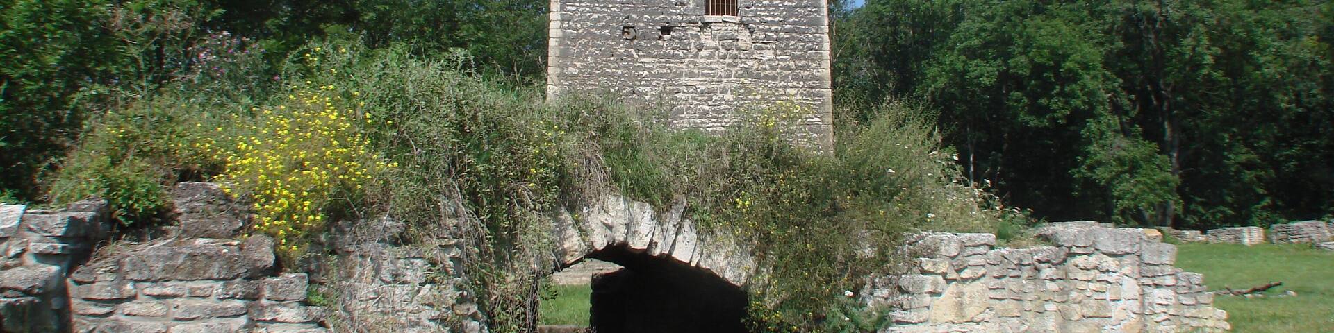 Sachsenburg Unterburg Bergfried