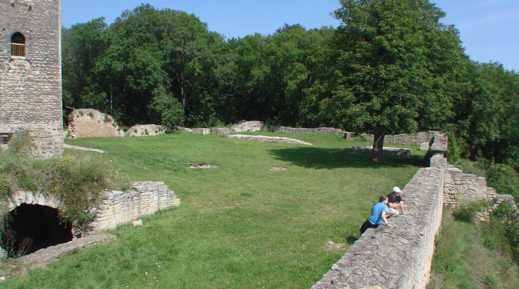 Sachsenburg Unterburg Burggelände