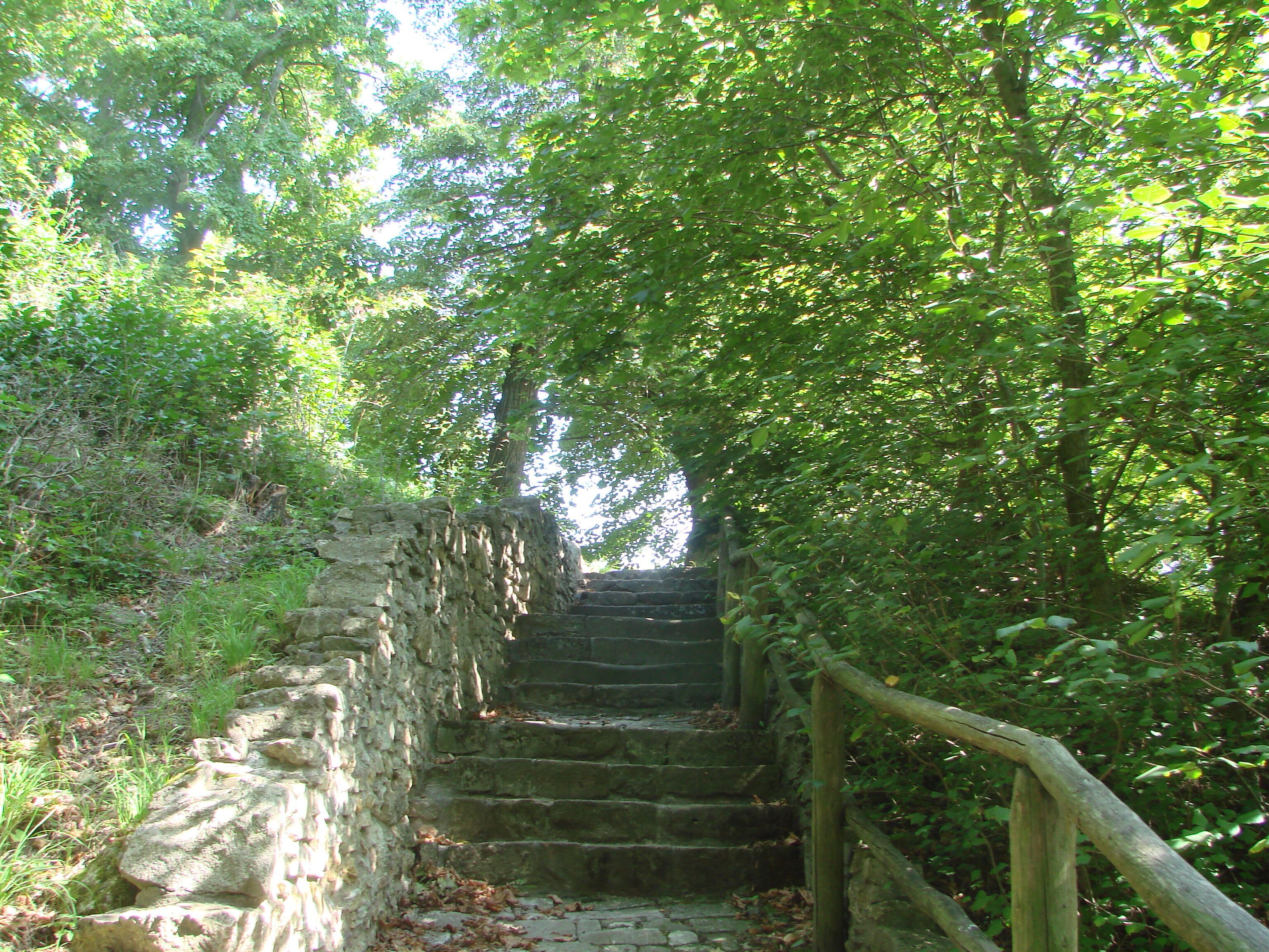 Sachsenburg Oberburg Aufgang