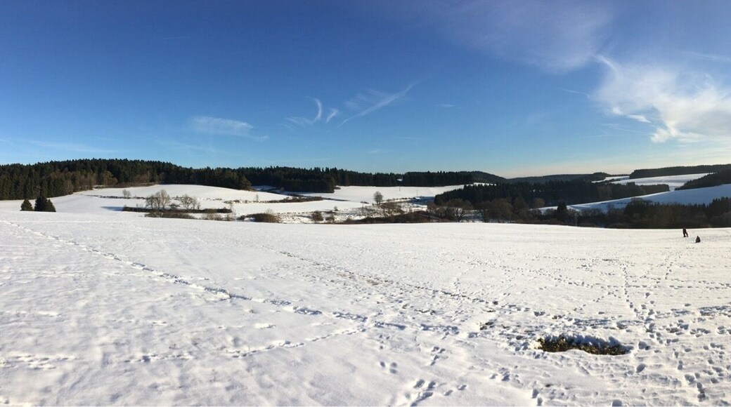 Flözlingen im Winter