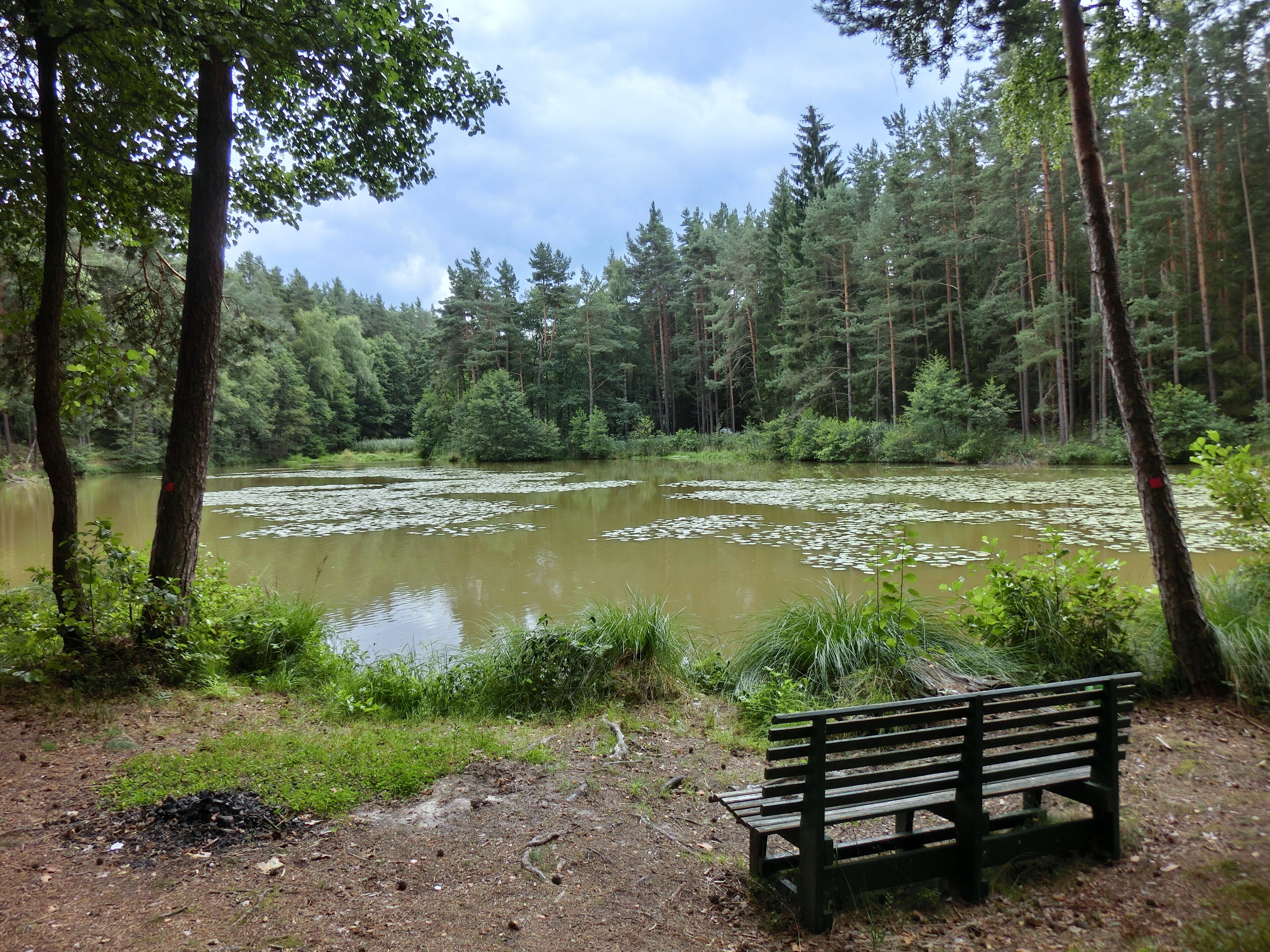 Bank am Kernweiher
