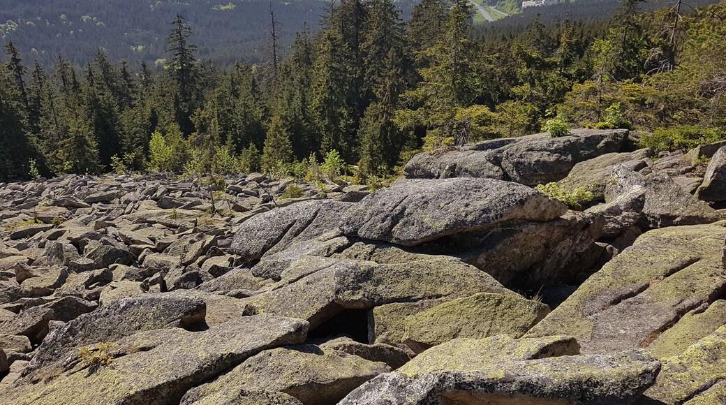 Naturschutzgebiet Haberstein im Fichtelgebirge