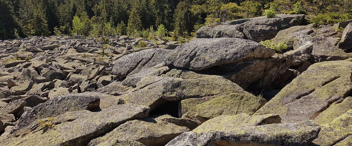 Naturschutzgebiet Haberstein im Fichtelgebirge