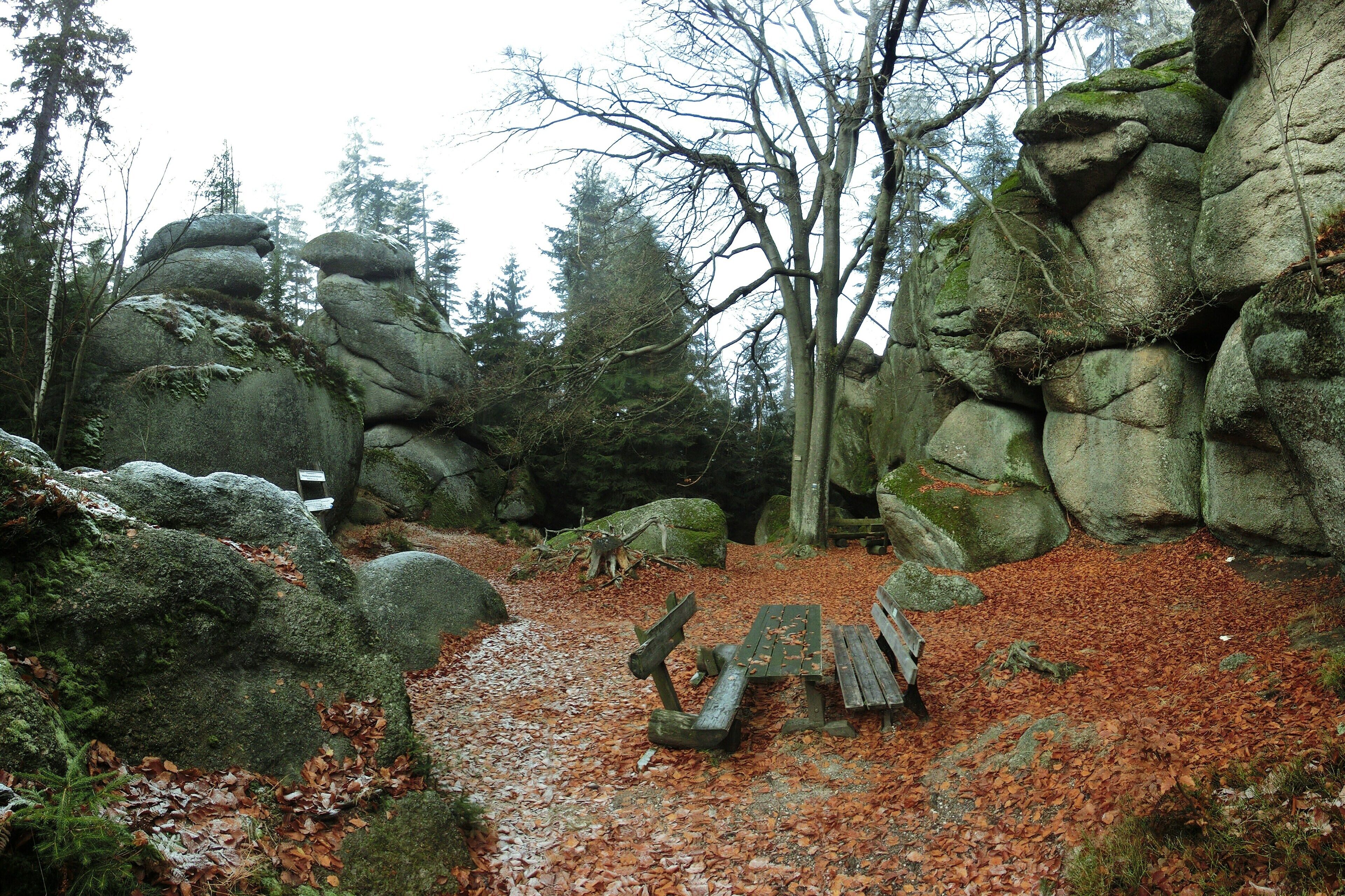 Rastplatz Weißmainfelsen