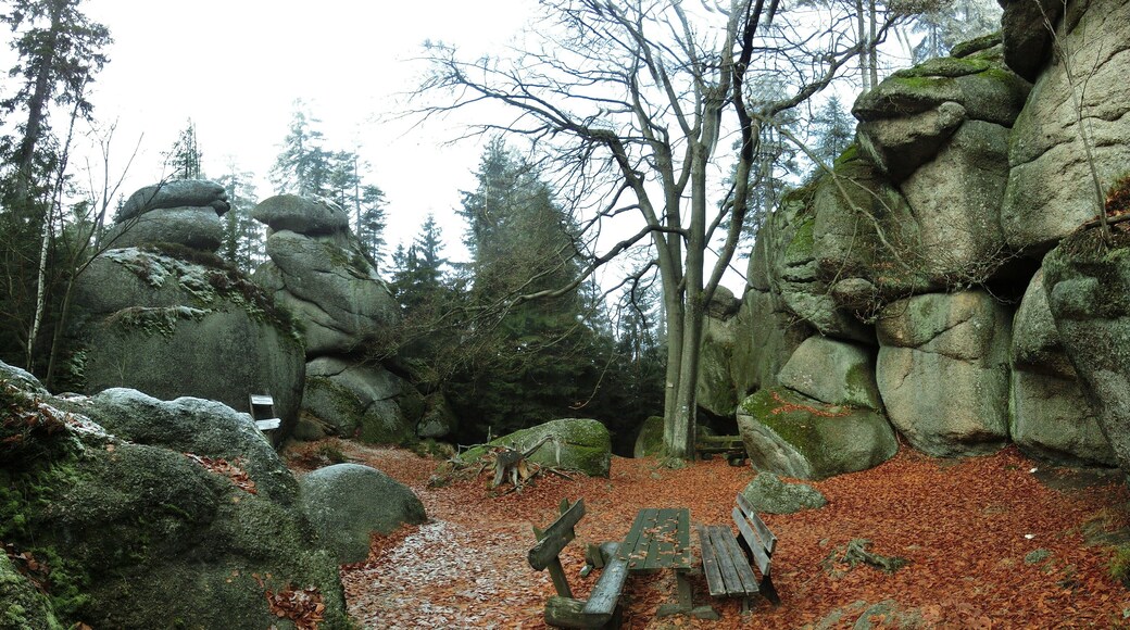 Rastplatz Weißmainfelsen