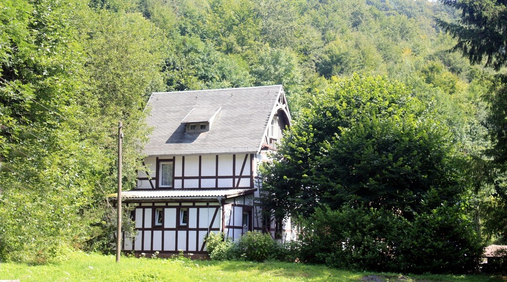 Ilfeld, the Braunsteinhaus