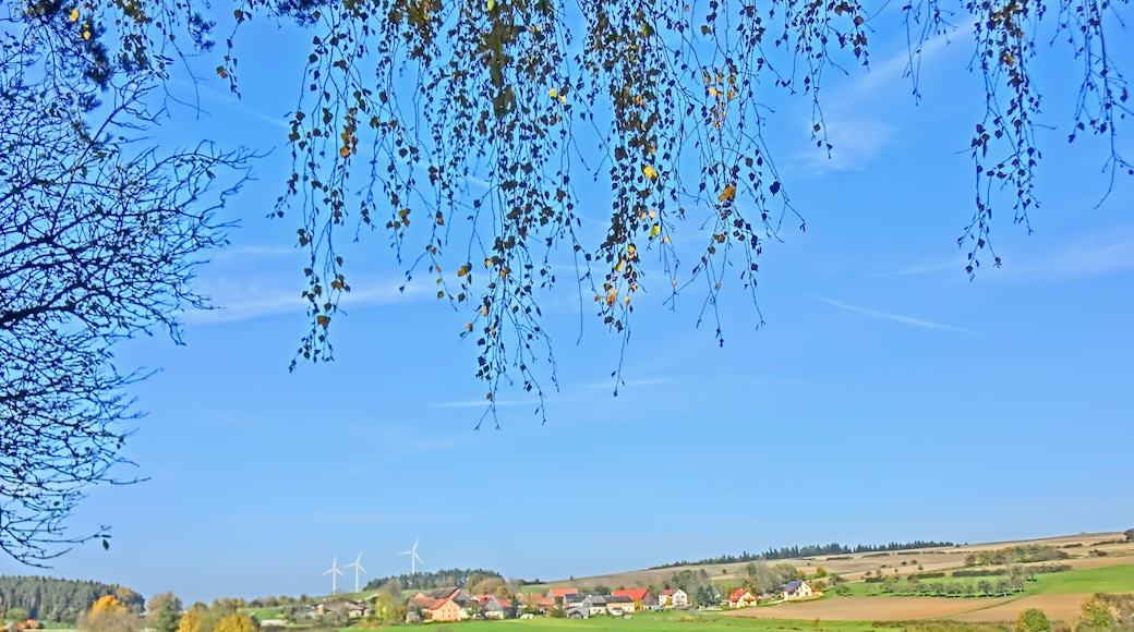 Altencreußen (HDR)