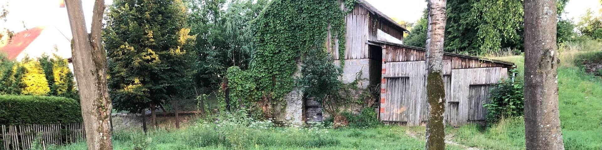 Birth of river wiesent in Bavaria