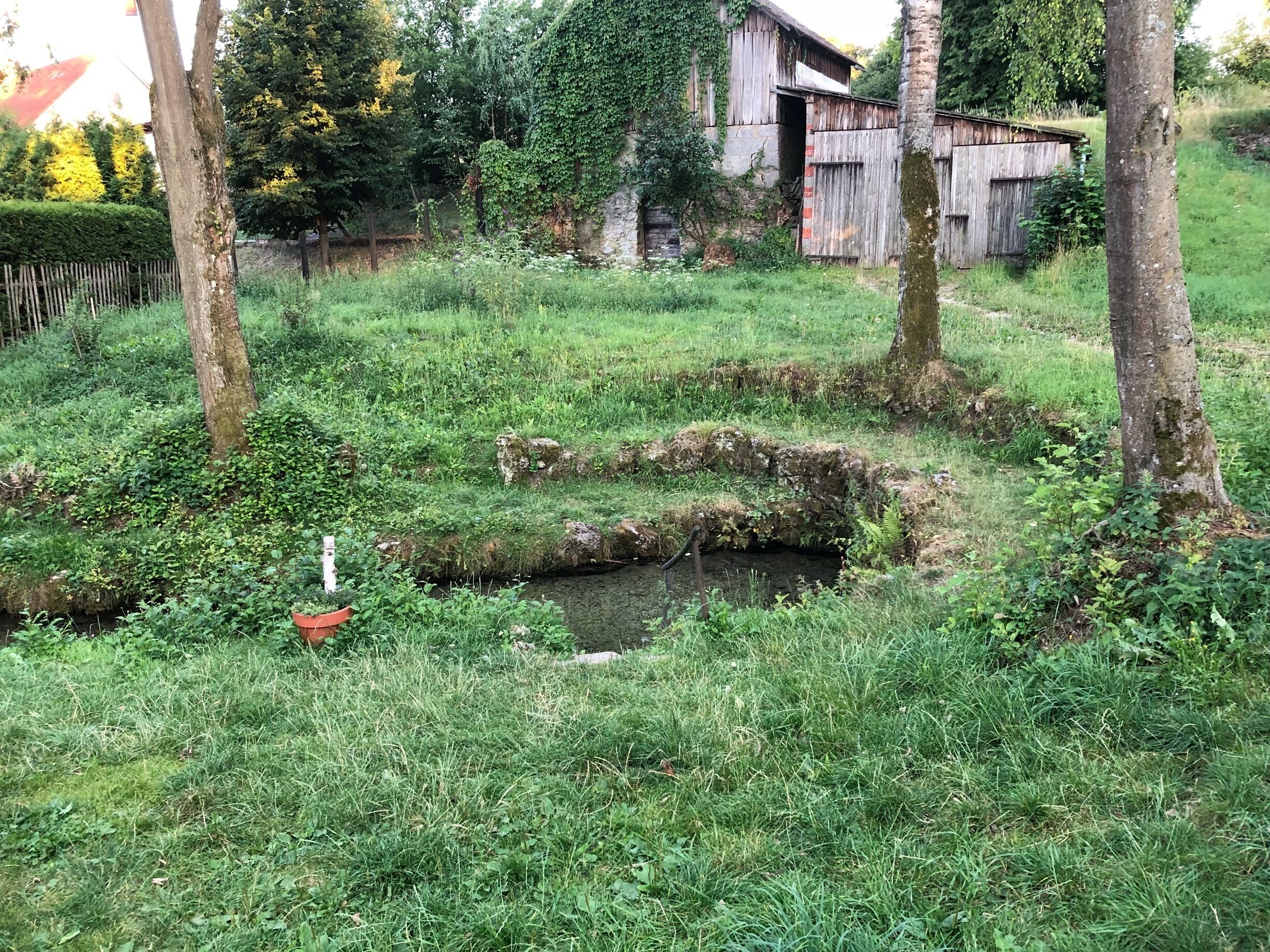 A rural landscape with a small stream, trees, and a wooden structure.