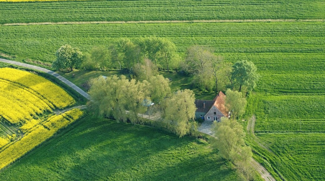Hof nordwestlich von Spieka. Fotoflug vom Flugplatz Nordholz-Spieka über Bremerhaven, Wilhelmshaven und die Ostfriesischen Inseln bis Borkum