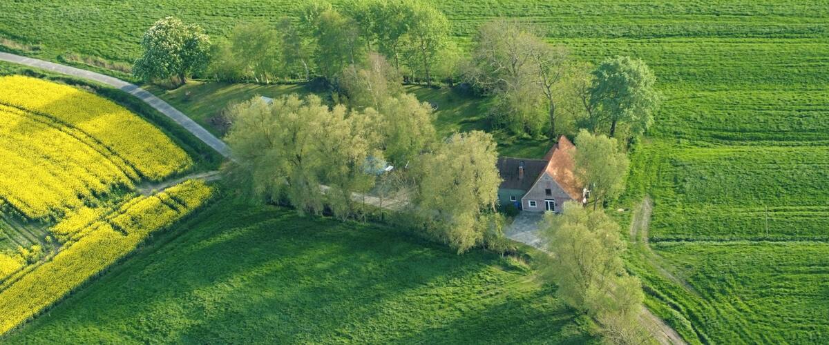 An aerial view of a rural landscape with a house surrounded by lush green fields and a section of yellow flowering crops.