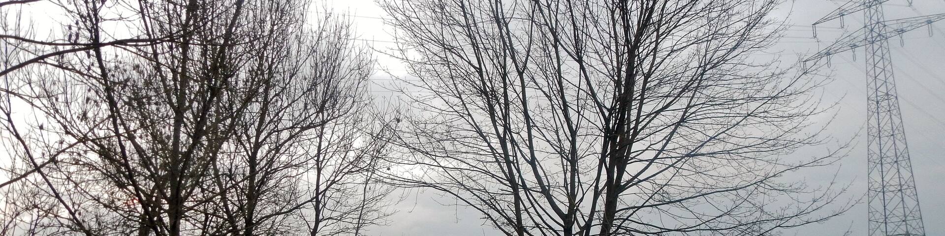 Der 366 km lange Neckartalradweg in Bad Friedrichshall, rechts Freileitungsmast der Anlage 316 (380/220/110 kV)