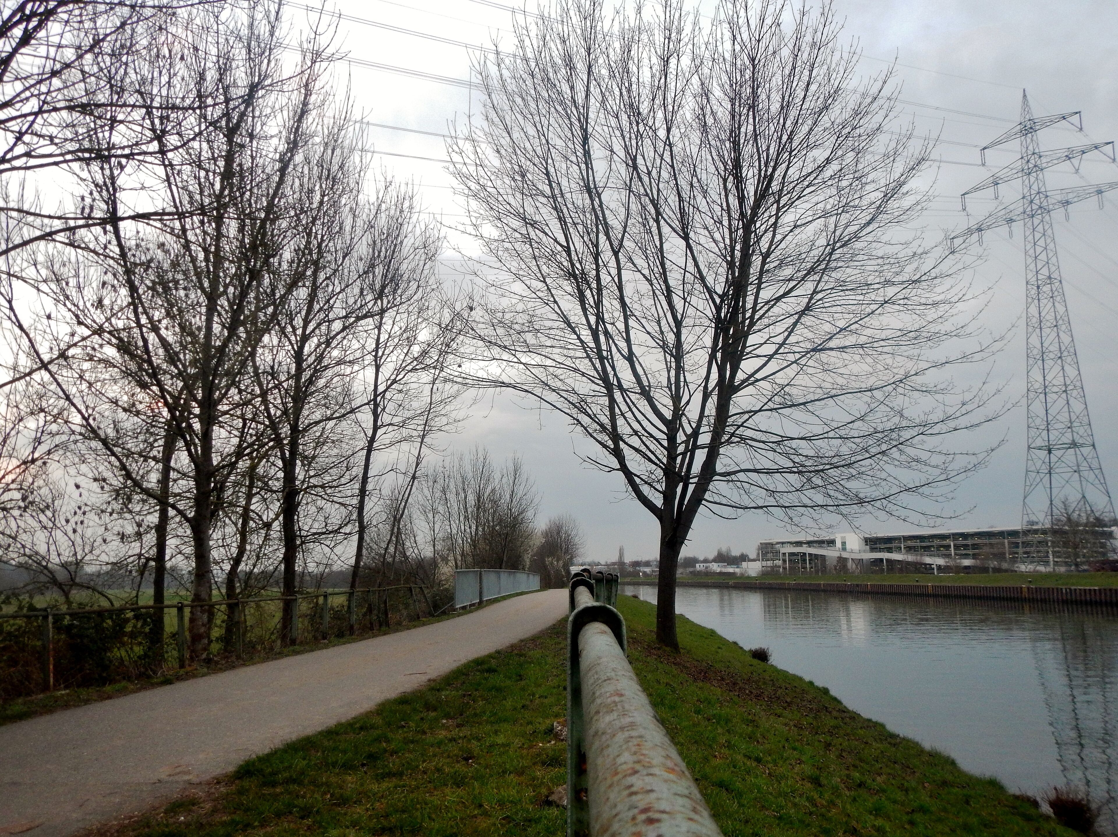 A pathway alongside a canal with leafless trees and a power line tower in the background.
