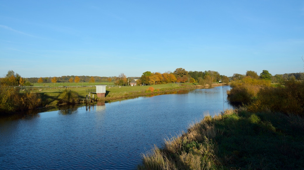 Impressionen der Stör in Wittenbergen