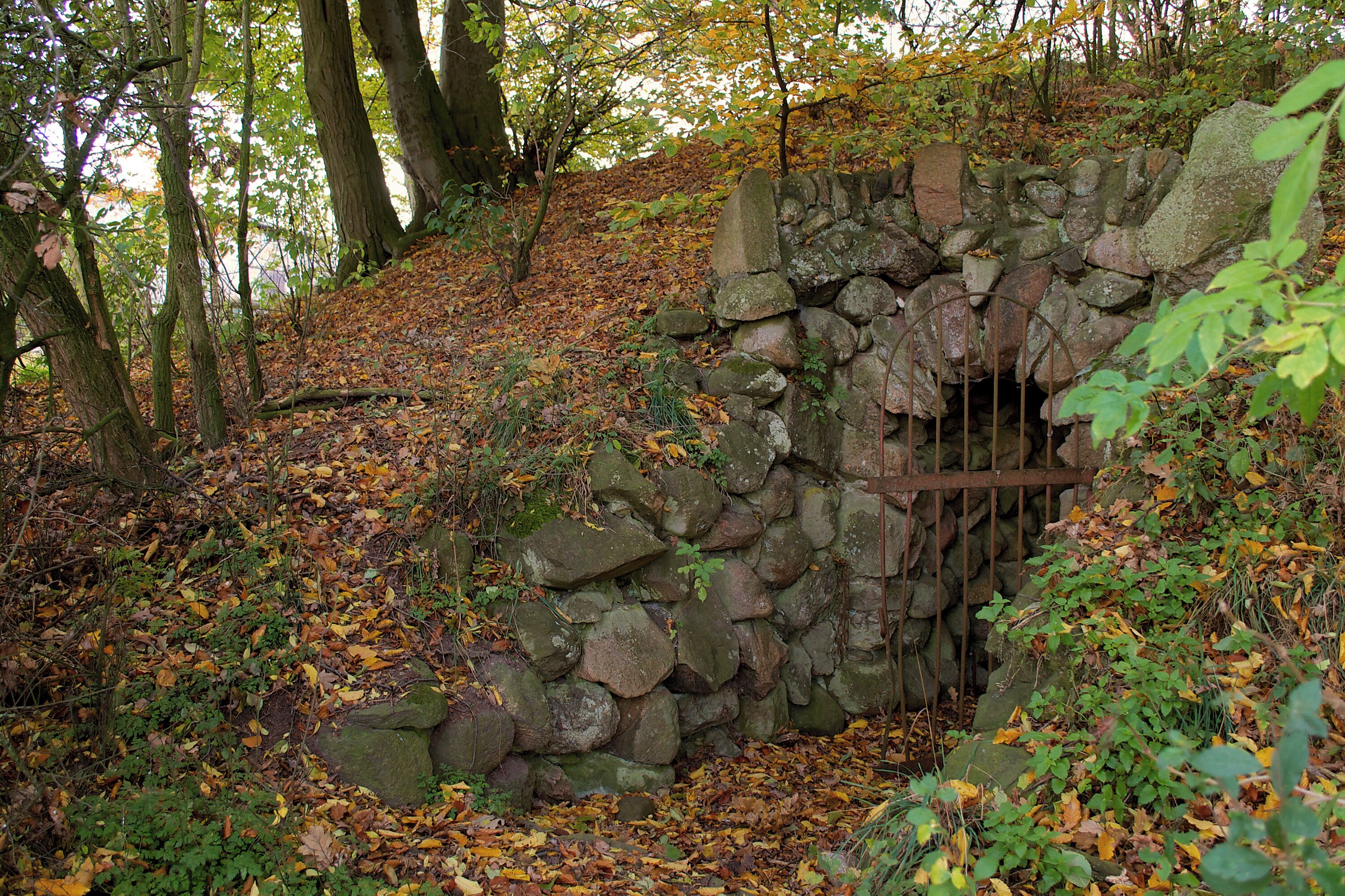 A stone wall with a metal gate in a forested area with autumn leaves.