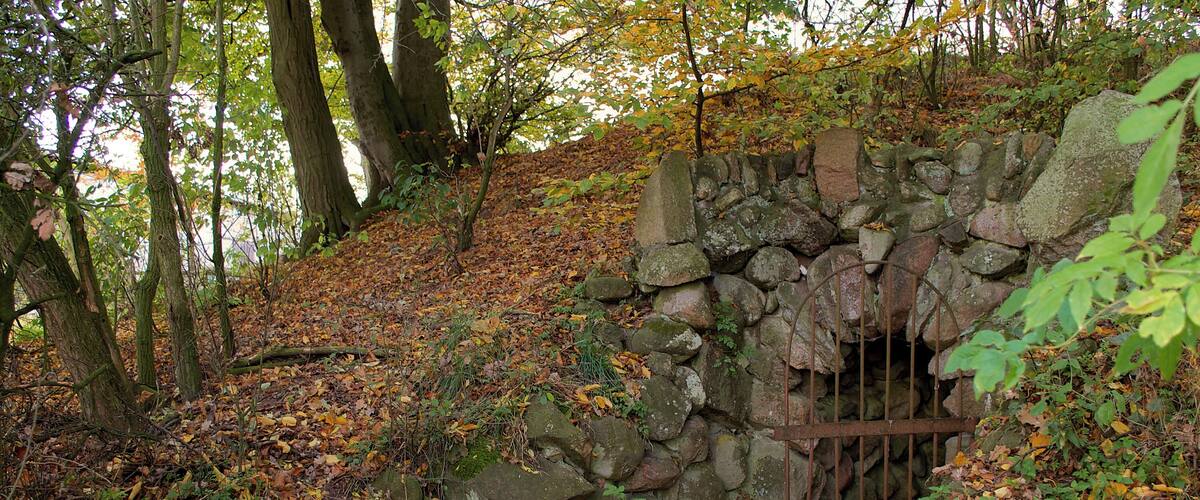 A stone wall with a metal gate in a forested area with autumn leaves.