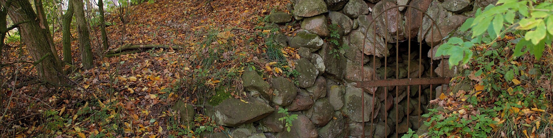 A stone wall with a metal gate in a forested area with autumn leaves.