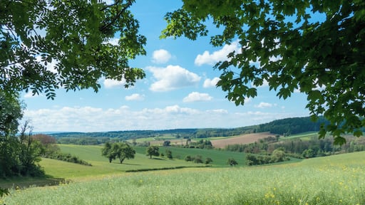 Kraichgau-Landschaft im Mai - 170521