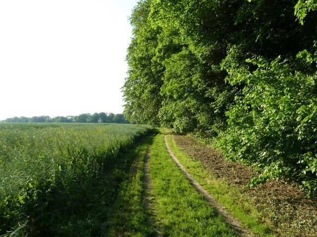 Feldweg am Waldrand auf dem Heuberg