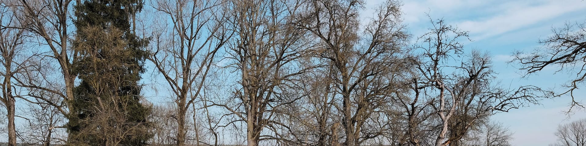 Demolished castle SchlöĂlesberg, Motte Bachritterburg, Kanzach, district Sigmaringen, Baden-WĂŒrttemberg, Germany