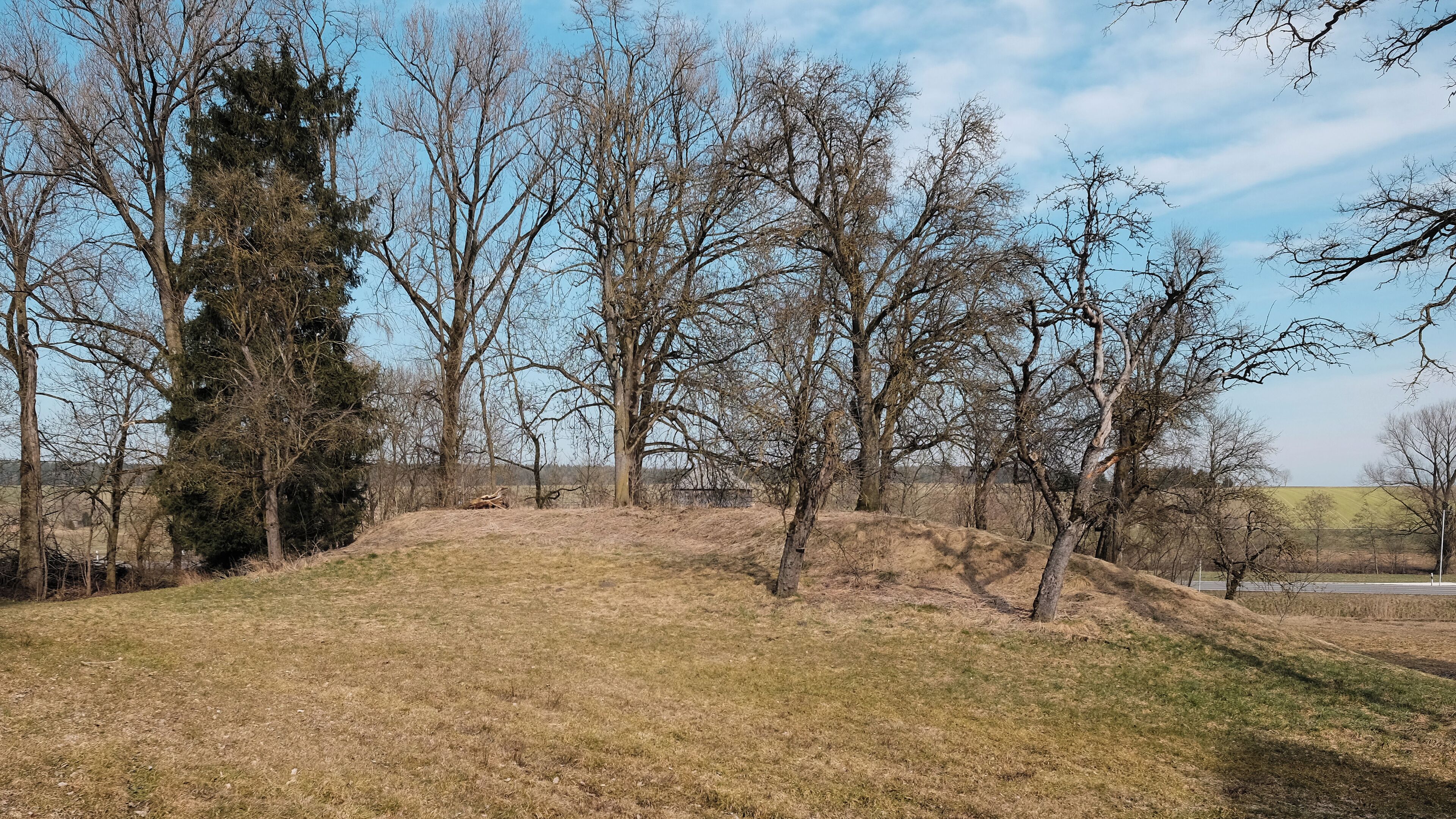 A grassy hill with trees and a clear sky.