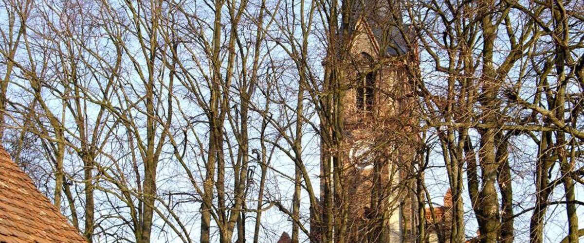 A church surrounded by leafless trees and a brick building.