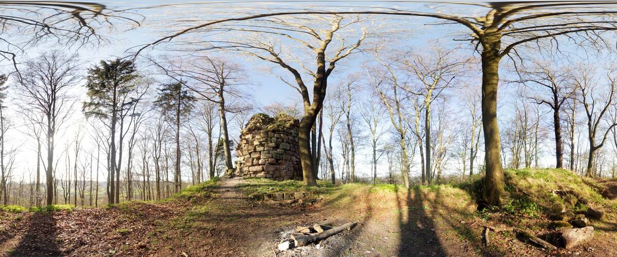 A stone ruin surrounded by trees in a forest.