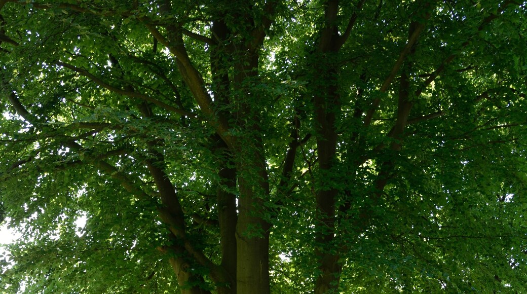 This image was uploaded as part of Wiki Loves Earth 2014.