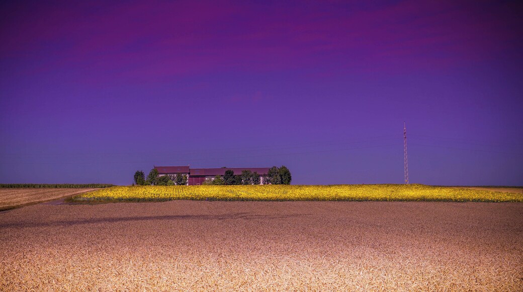 Near Schweinfurt (Main-Radweg)