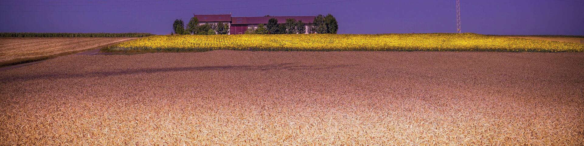 Near Schweinfurt (Main-Radweg)