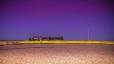 Near Schweinfurt (Main-Radweg)