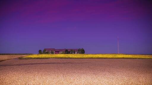 Near Schweinfurt (Main-Radweg)