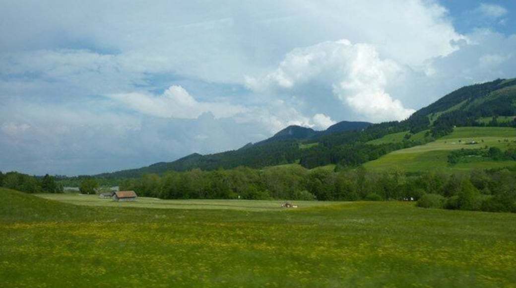 Heuen in der Sonne (Making hay while the sun shines)