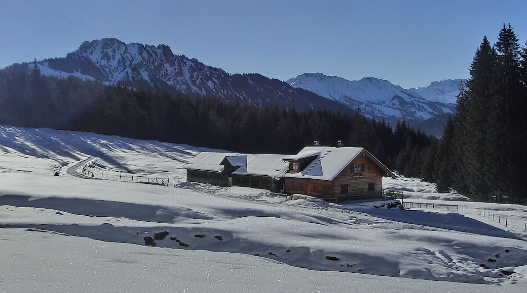 Alpe Untere Reuterwanne and the mountain Sorgschrofen.
