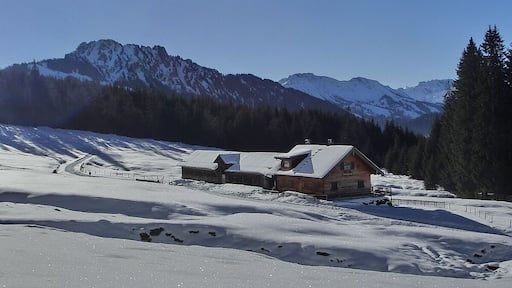 Alpe Untere Reuterwanne and the mountain Sorgschrofen.