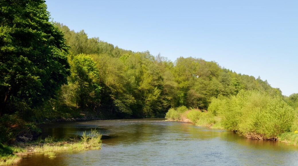 This image shows the confluence of the rivers Flöha and Zschopau in the town Flöha.