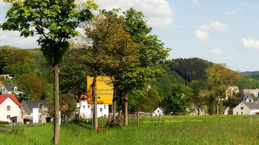 This image shows the town Falkenau, Germany seen from north-west. It is a three segment panoramic image.