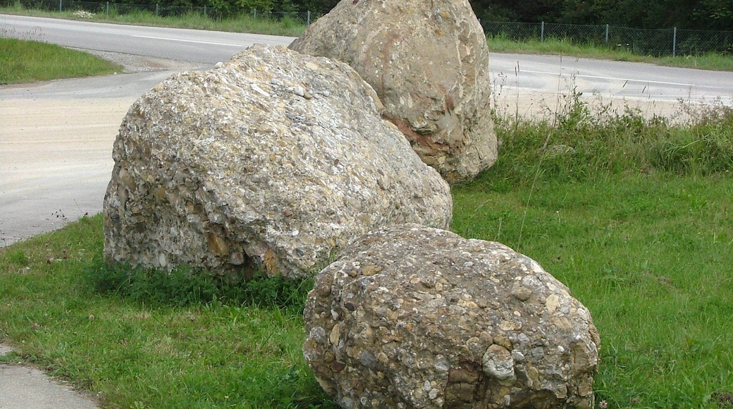 Kraftisried Nagelfluh Findlinge