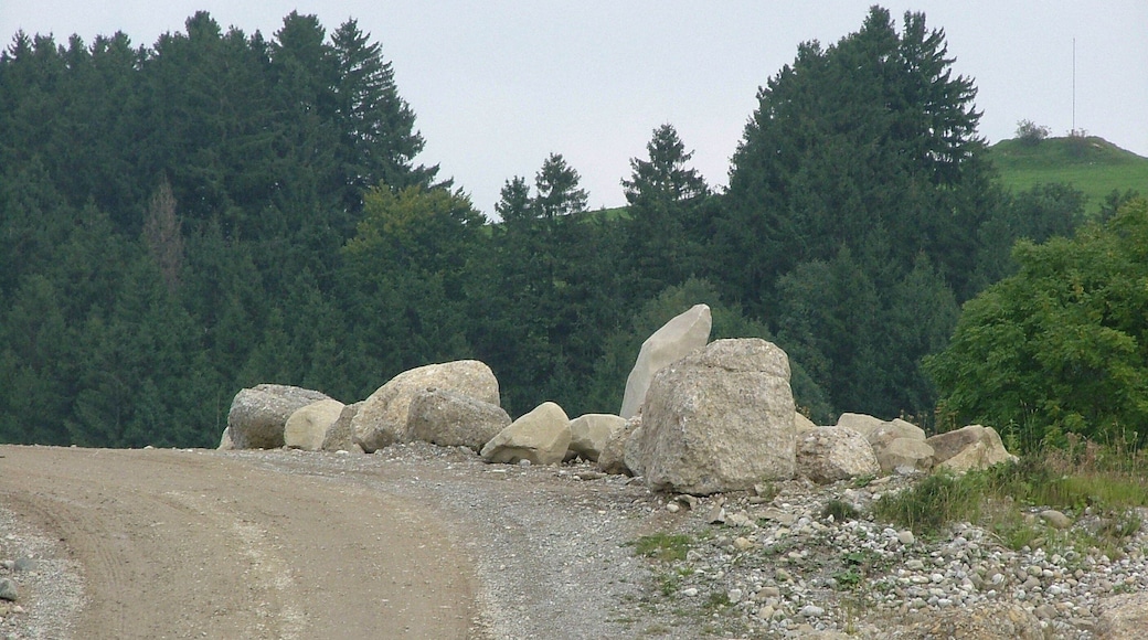 Kraftisried Findlinge in der Kiesgrube