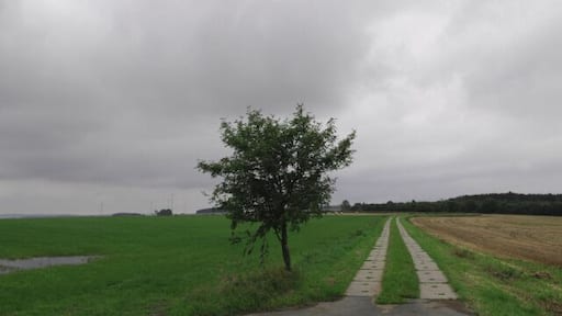 Kolonnenweg bei Grobau