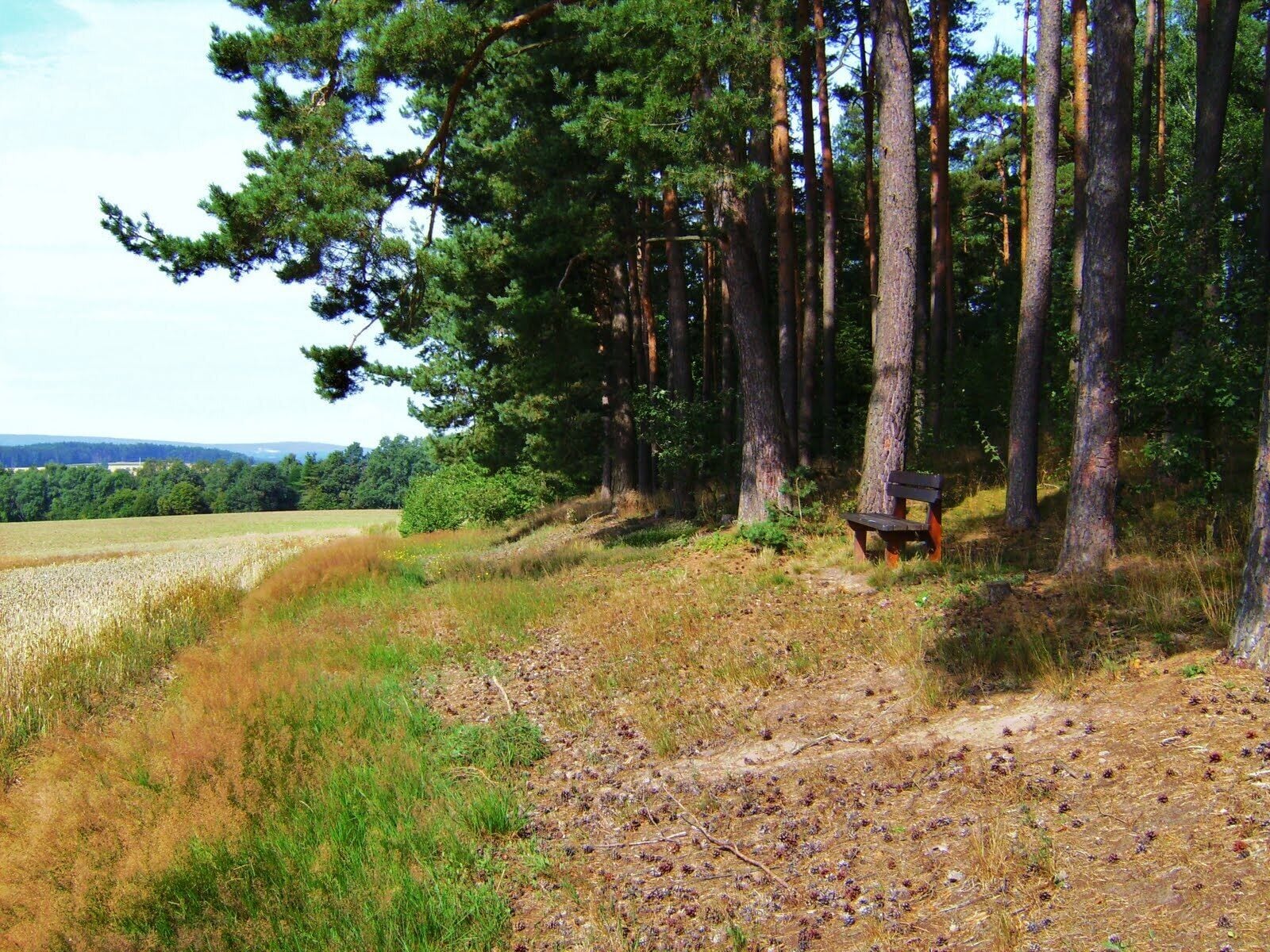 Aussichtsbank Oberbibrach
