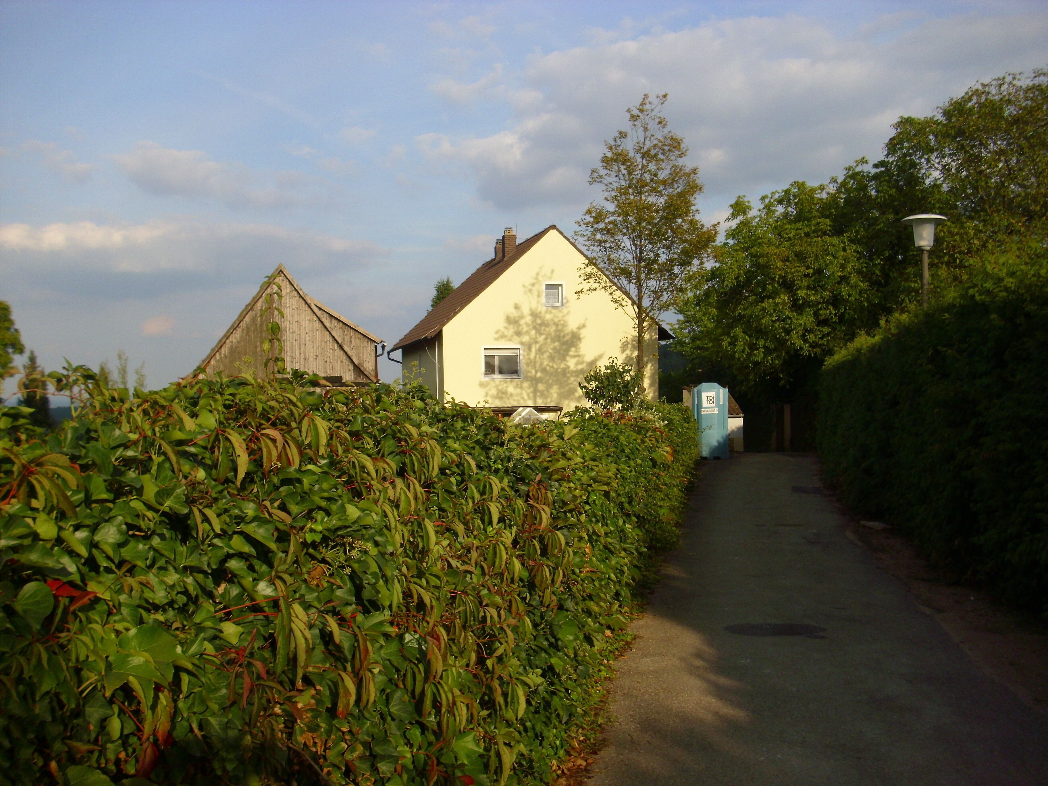 A narrow rural road flanked by dense foliage and a white house with a brown roof.