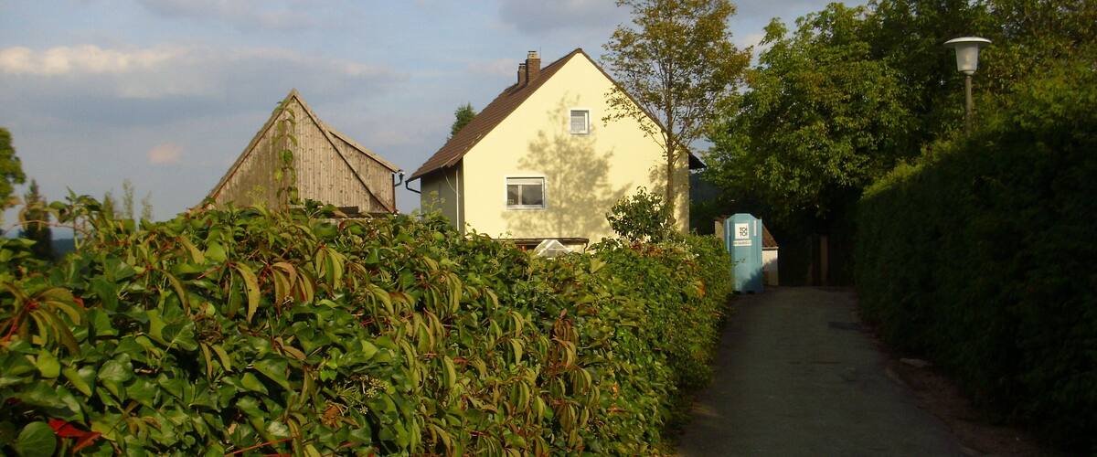 A narrow rural road flanked by dense foliage and a white house with a brown roof.