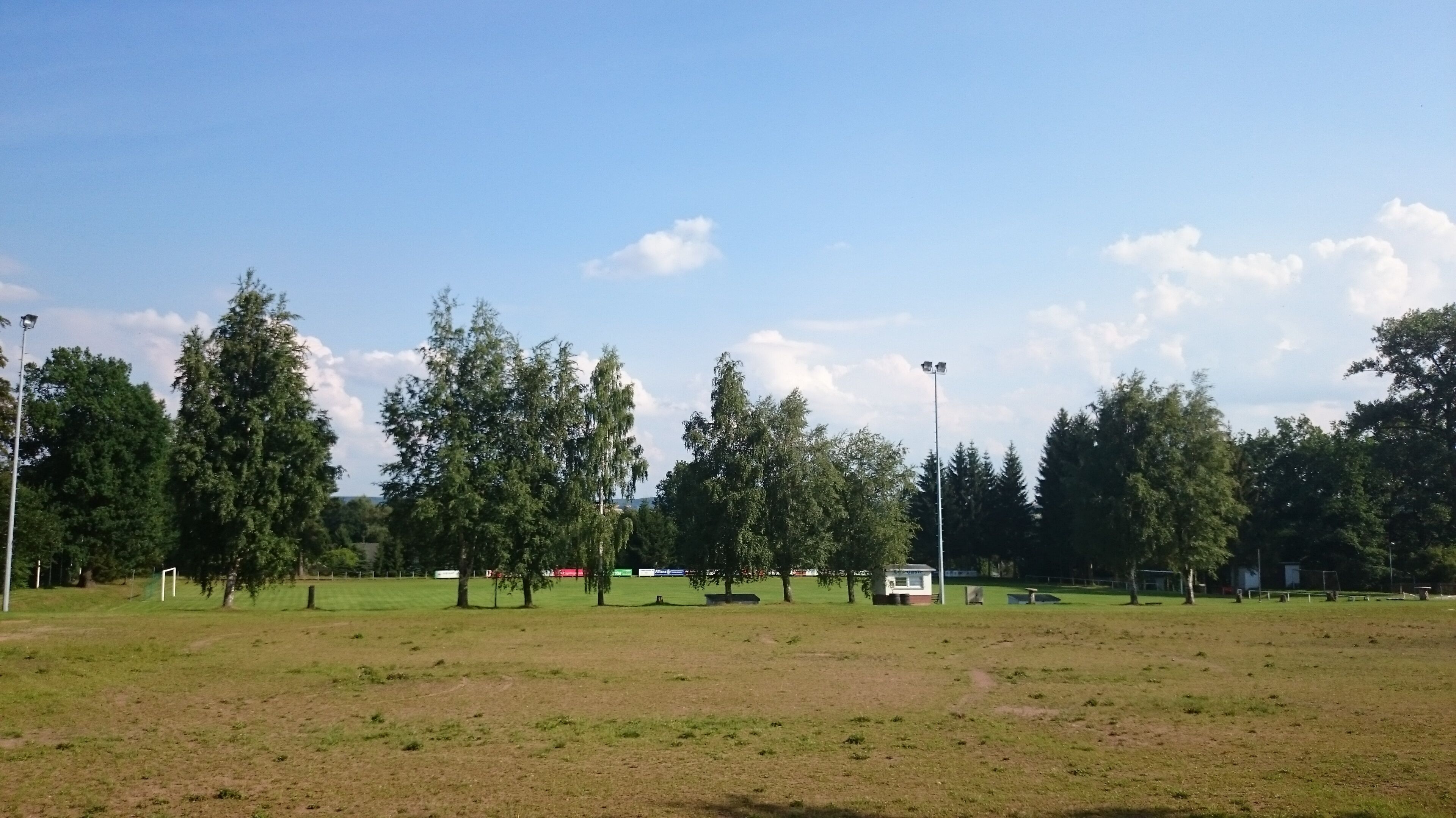 A grassy field with trees and a clear sky.
